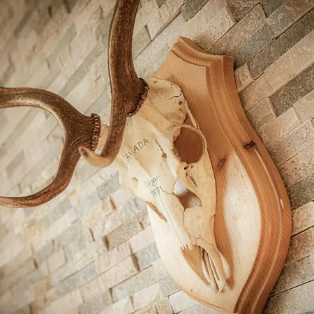 Luxus-lodge Kaiser Franz Josef Im Schiller * Bad Gastein